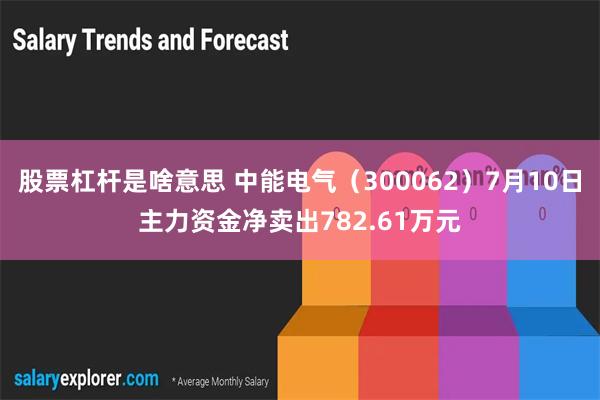 股票杠杆是啥意思 中能电气（300062）7月10日主力资金净卖出782.61万元