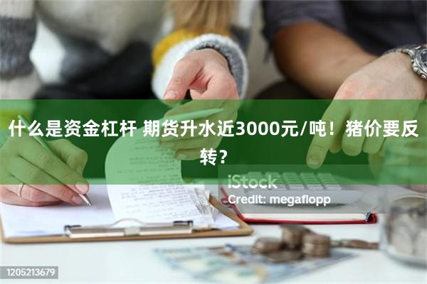 什么是资金杠杆 期货升水近3000元/吨！猪价要反转？