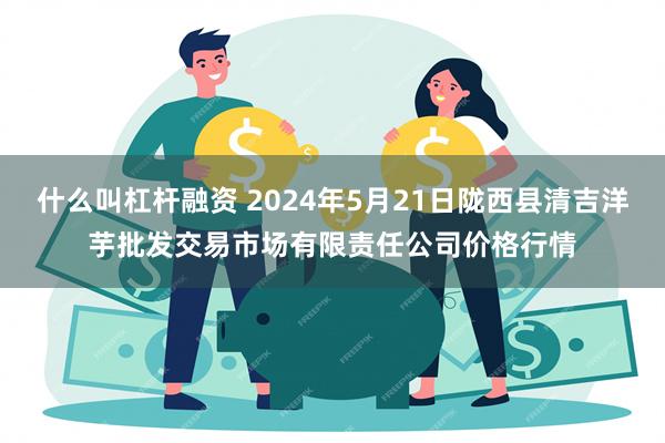 什么叫杠杆融资 2024年5月21日陇西县清吉洋芋批发交易市场有限责任公司价格行情