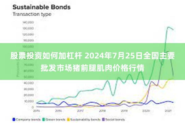 股票投资如何加杠杆 2024年7月25日全国主要批发市场猪前腿肌肉价格行情