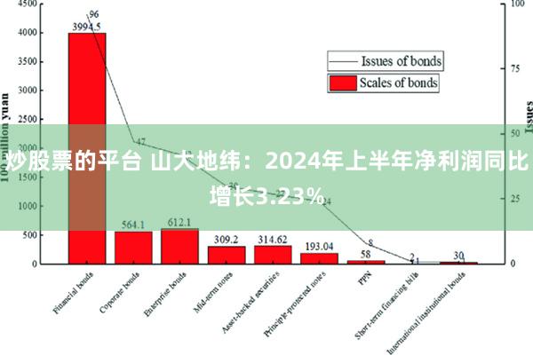 炒股票的平台 山大地纬：2024年上半年净利润同比增长3.23%