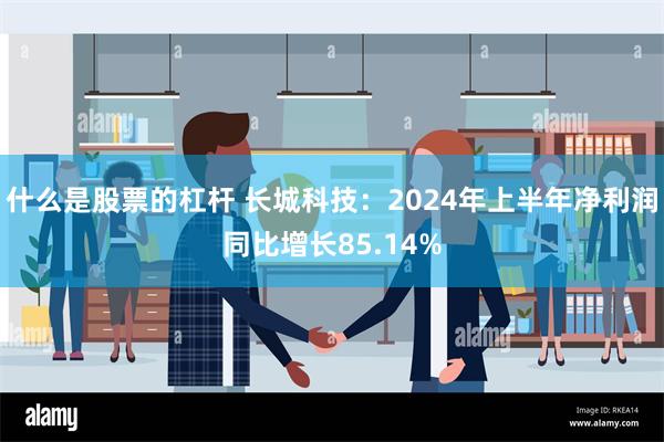 什么是股票的杠杆 长城科技：2024年上半年净利润同比增长85.14%