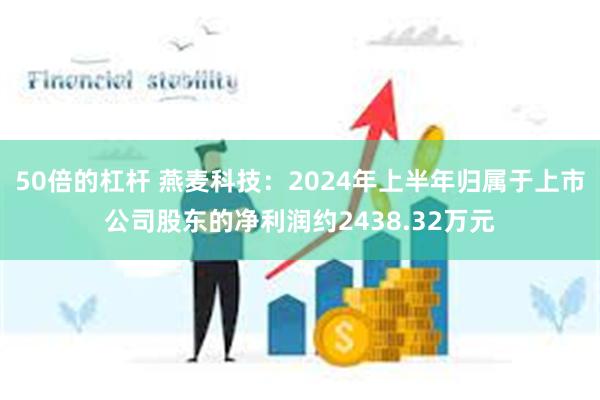 50倍的杠杆 燕麦科技：2024年上半年归属于上市公司股东的净利润约2438.32万元