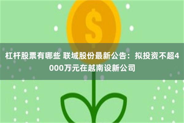 杠杆股票有哪些 联域股份最新公告：拟投资不超4000万元在越南设新公司