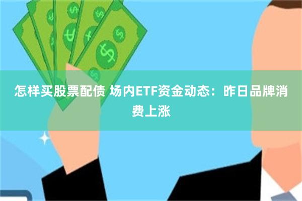 怎样买股票配债 场内ETF资金动态：昨日品牌消费上涨