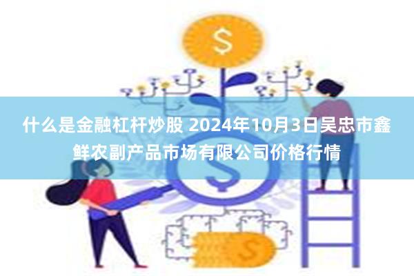 什么是金融杠杆炒股 2024年10月3日吴忠市鑫鲜农副产品市场有限公司价格行情