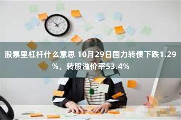 股票里杠杆什么意思 10月29日国力转债下跌1.29%，转股溢价率53.4%