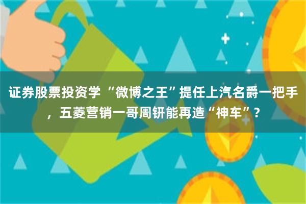 证券股票投资学 “微博之王”提任上汽名爵一把手，五菱营销一哥