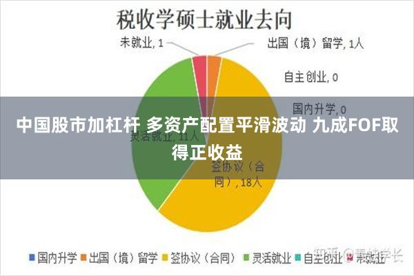 中国股市加杠杆 多资产配置平滑波动 九成FOF取得正收益