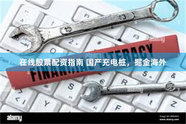 在线股票配资指南 国产充电桩，掘金海外