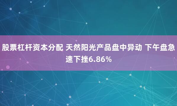 股票杠杆资本分配 天然阳光产品盘中异动 下午盘急速下挫6.86%