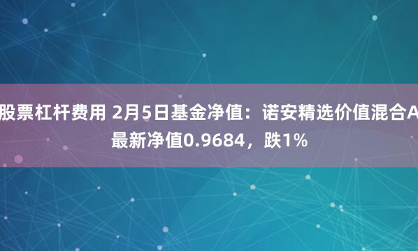 股票杠杆费用 2月5日基金净值：诺安精选价值混合A最新净值0.9684，跌1%