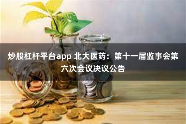 炒股杠杆平台app 北大医药：第十一届监事会第六次会议决议公告